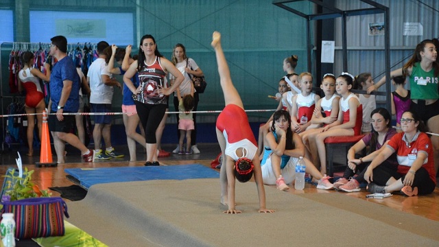 Este fin de semana se realizará la final provincial de “Chaco Juega” en gimnasia artística